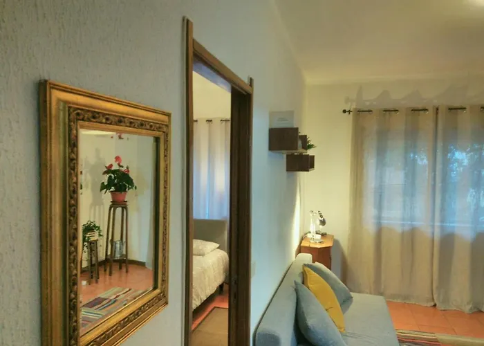 Lägenhet ! Free Parking Street ! Ground Floor With Washer! Oporto